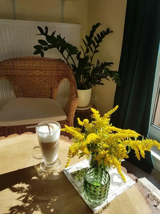 Apartment Apartament Pod Jelonkiem Szklarska Poreba